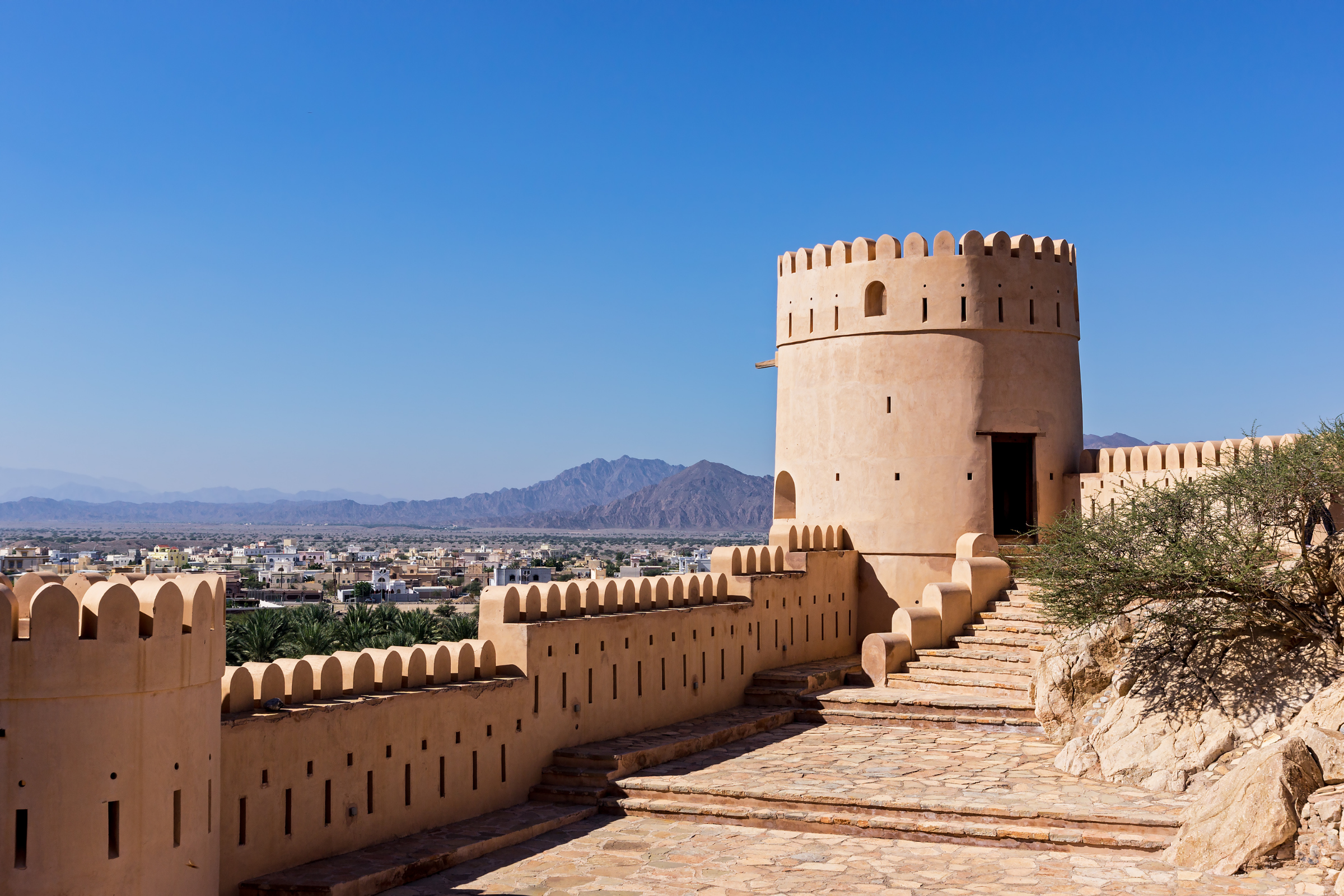 Nakhl[1].webp